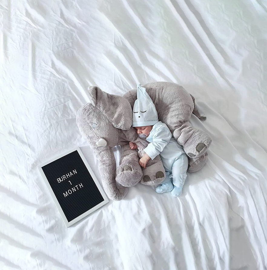 elephant pillow (2)