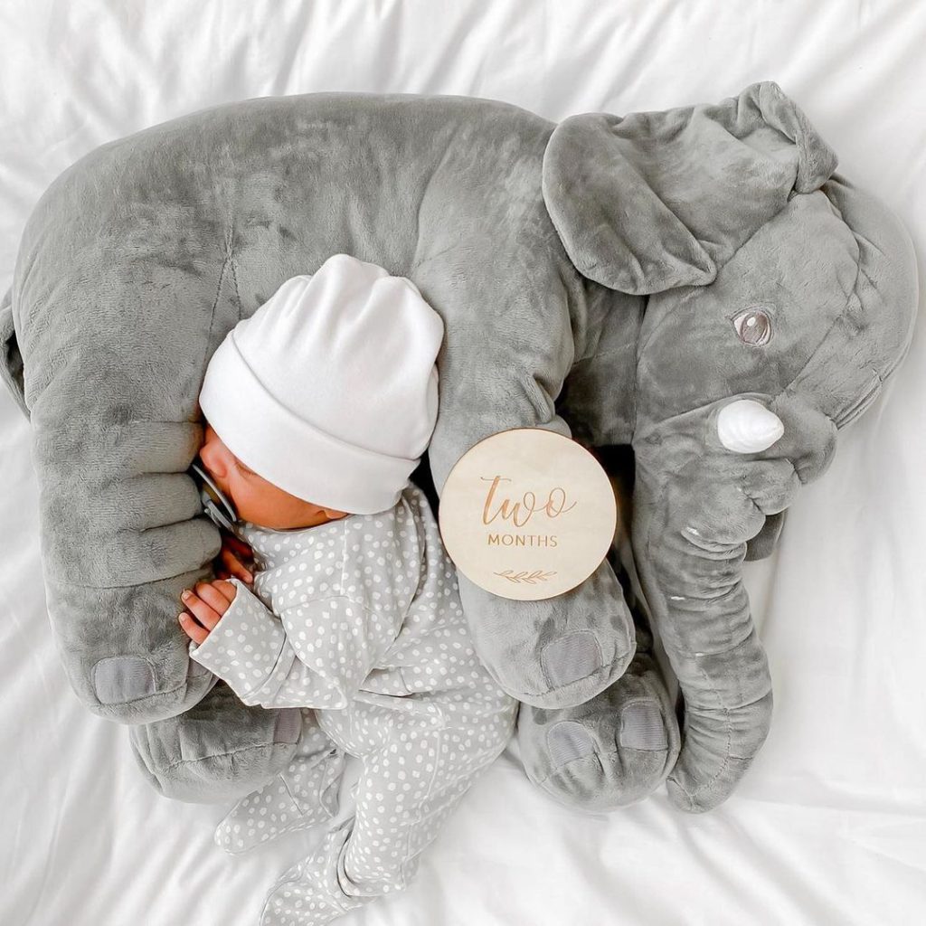 elephant pillow (3)