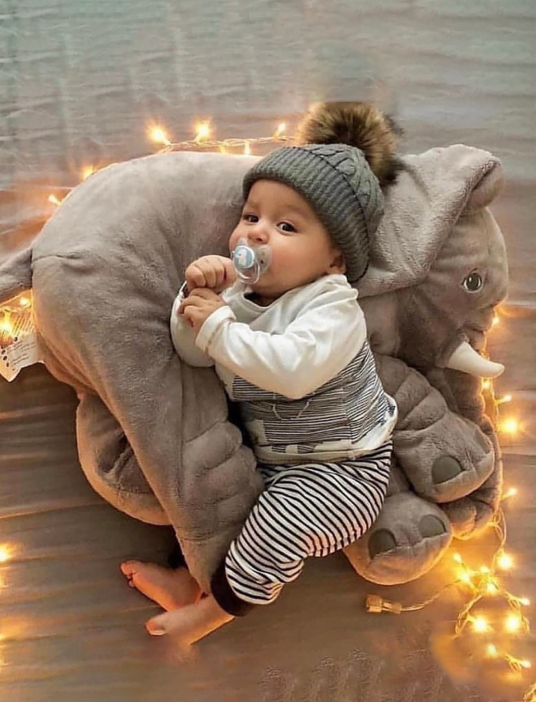 elephant pillow (3)