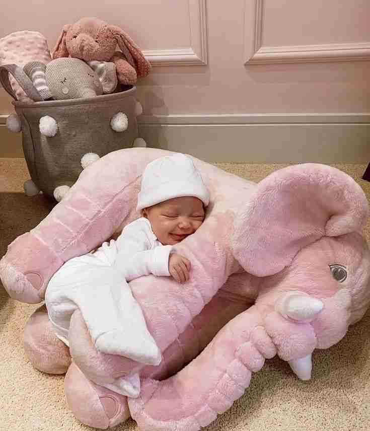 elephant pillow