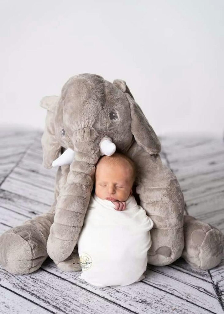 monthly baby pictures (5)