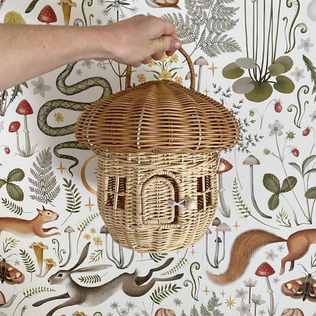 mushroom house basket