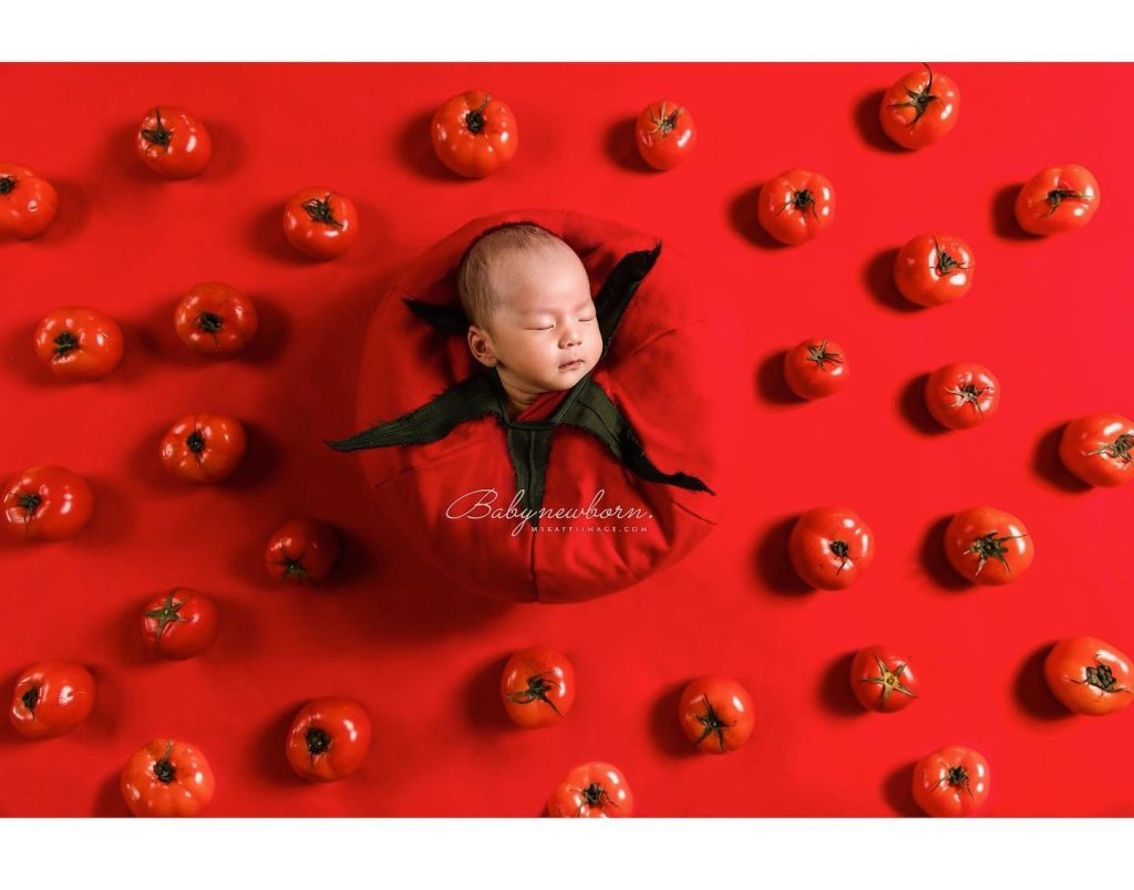 tomato newborn photoshoot