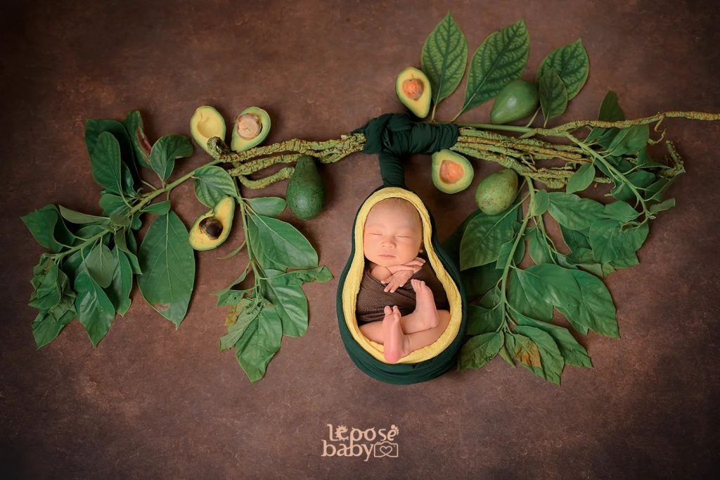 avocado newborn photography (3)